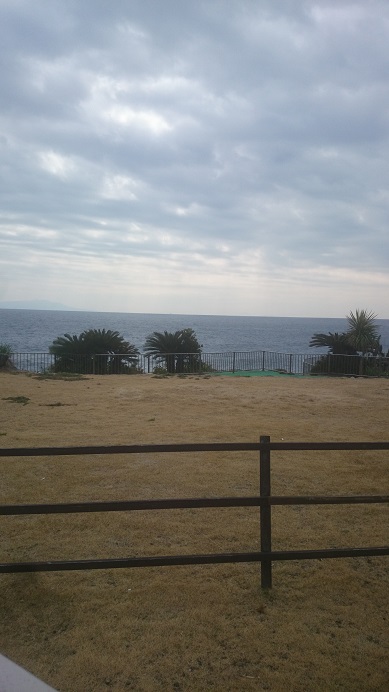 dsc_0121.jpg dsc_0121.jpg