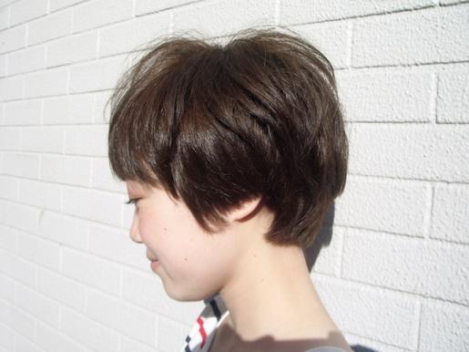 IMGP4258コピー.jpg