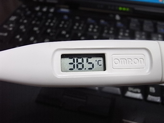 38.5℃.jpg