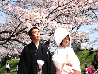 桜結婚.jpg 桜結婚.jpg