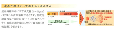 足の助説明２.jpg