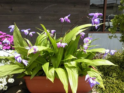 100509_111945_eds-.jpg