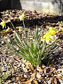 110407_0826~02.JPG