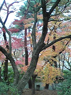 111128_0904~01.JPG