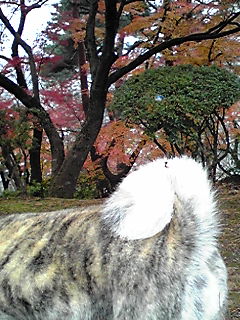 111128_0905~01.JPG