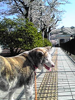 120419_0829~01.JPG