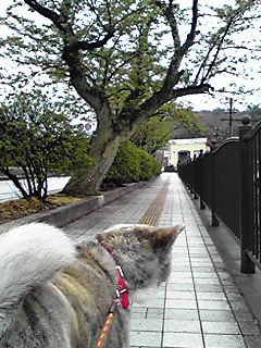 120423_0835~01.JPG