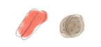 bitamin_e.jpg bitamin_e.jpg