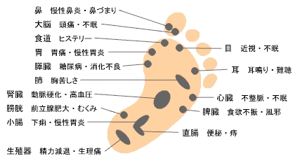 リフレ１１