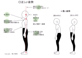 姿勢1 姿勢1