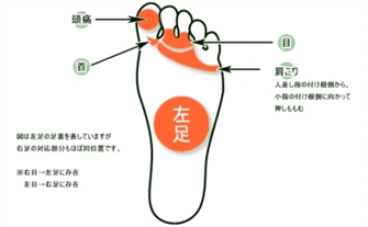 足裏反射区