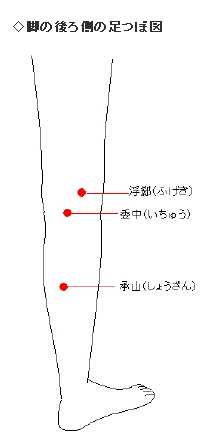脚後ろ側のつぼ.jpg 脚後ろ側のつぼ.jpg