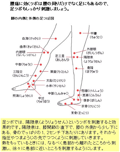 腰痛に効く脚つぼ.jpg